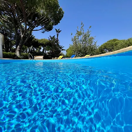 White House With Pool By Homing *