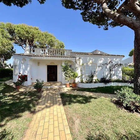 White House With Pool By Homing *